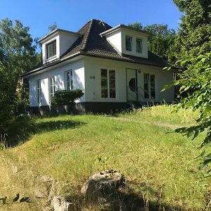 Ferienhaus Feel Like Barbecue Deutschland